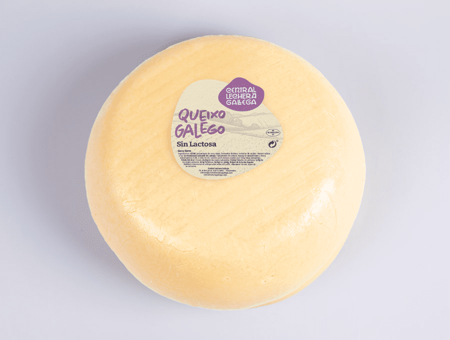 queso sin lactosa